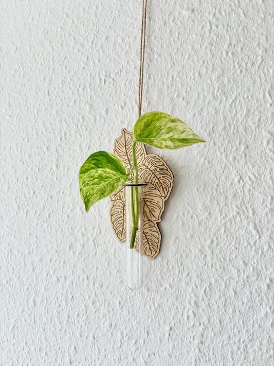 Wandhänger aus Holz für Pflanzenvermehrung – „Monstera“ | mit Reagenzglas | Lasergraviert
